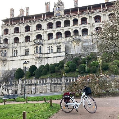 Gite Blois Chatel Exteriér fotografie